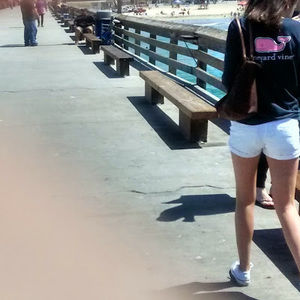 Meet your Posher, Barbara